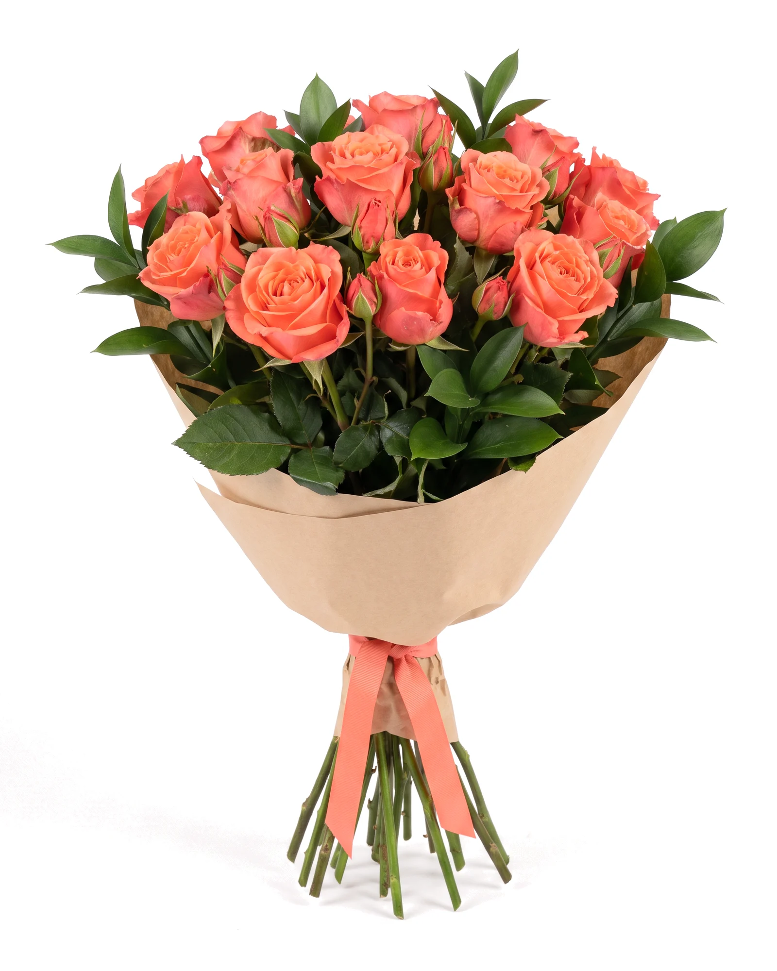 Coral Sunset Roses