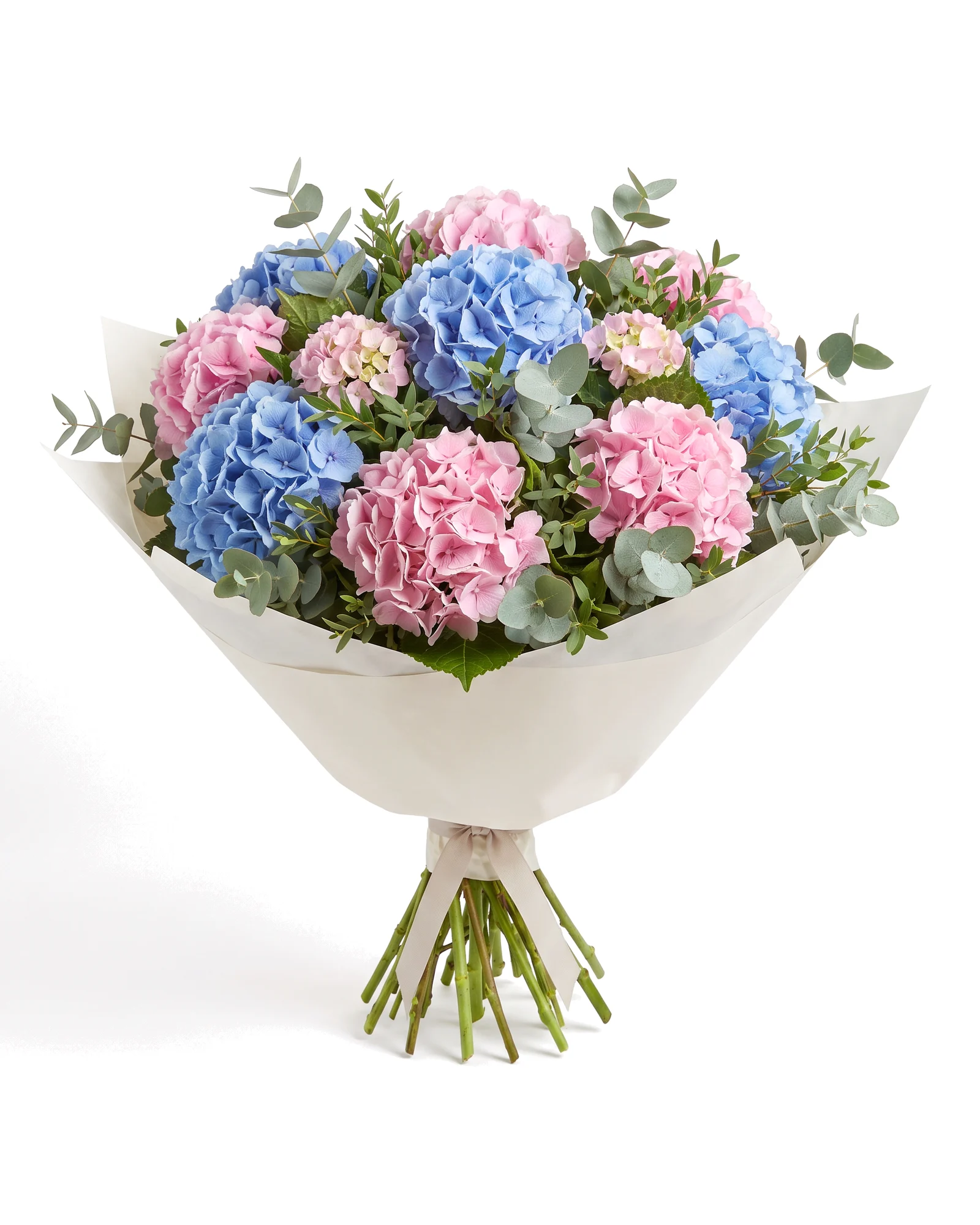 Hydrangea Haven Bouquet