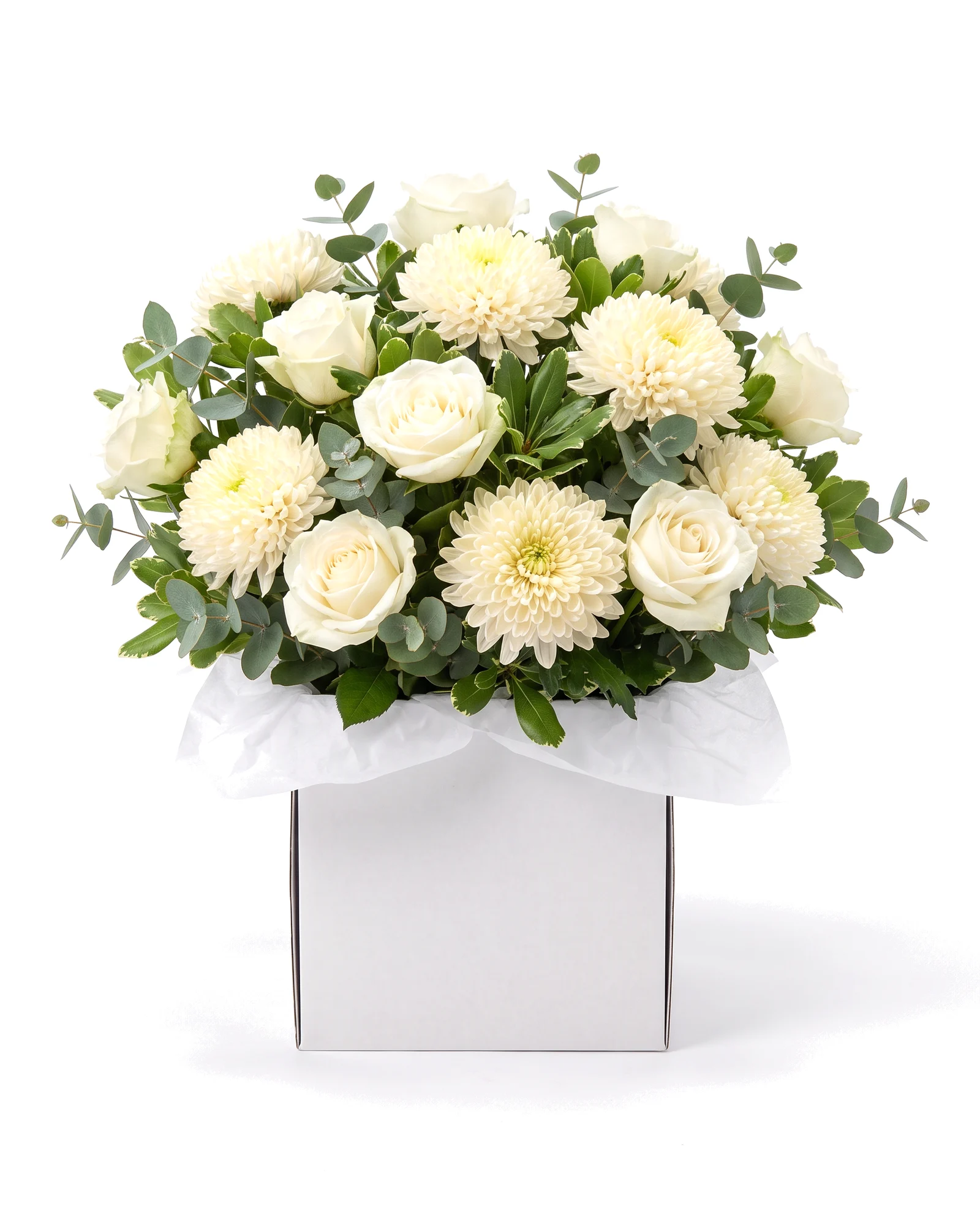 Ivory Elegance Box