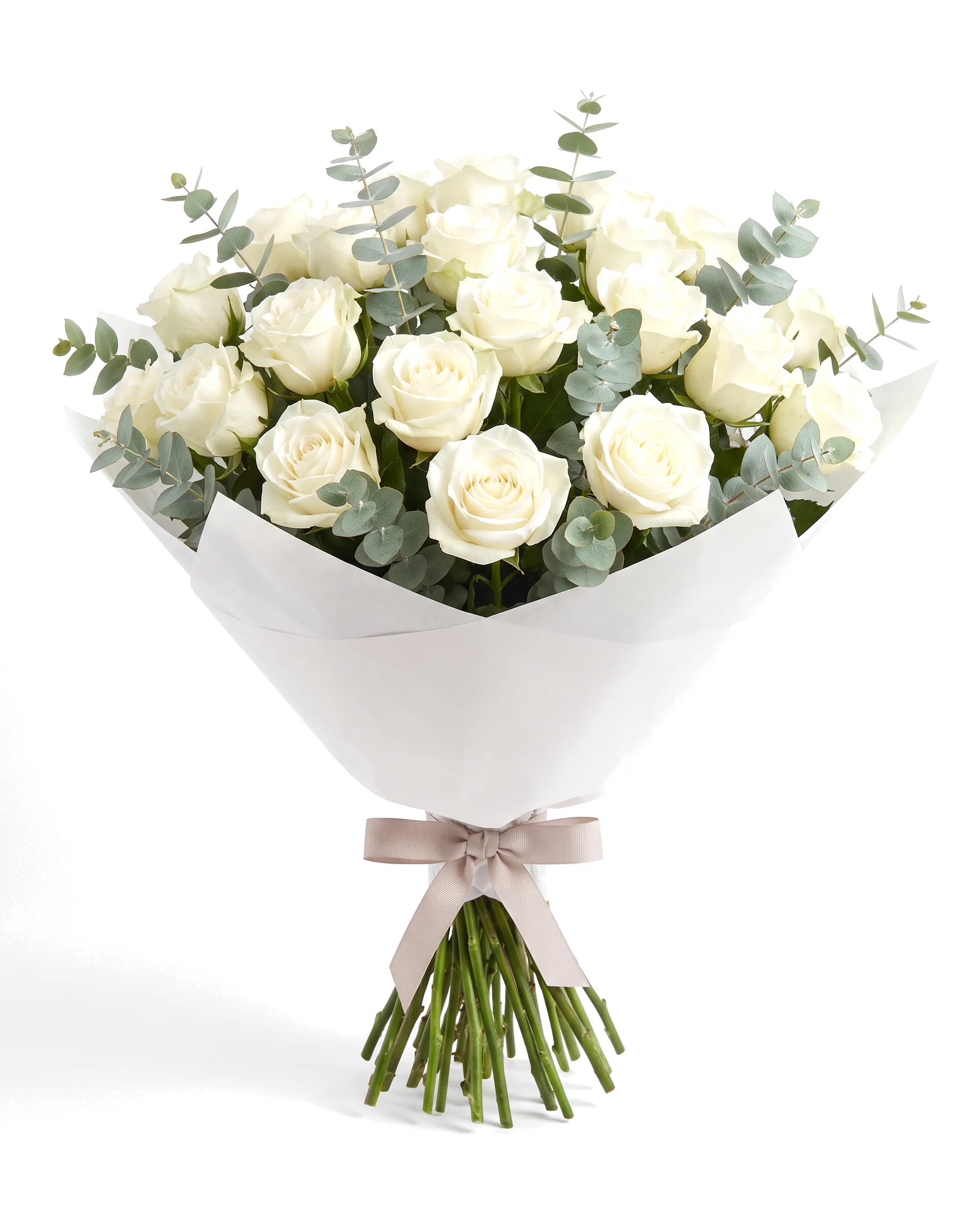 Pure White Rose Luxury